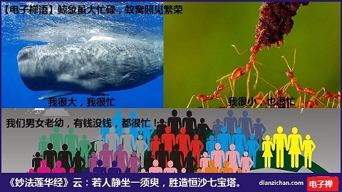 电子禅论坛__您我的精神家园