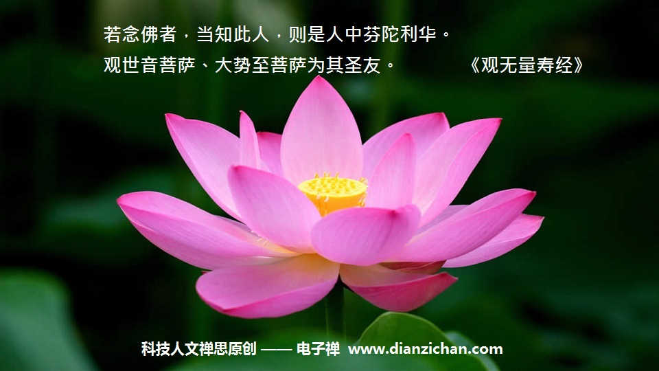 电子禅论坛__您我的精神家园