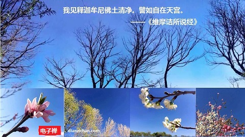 电子禅论坛__您我的精神家园