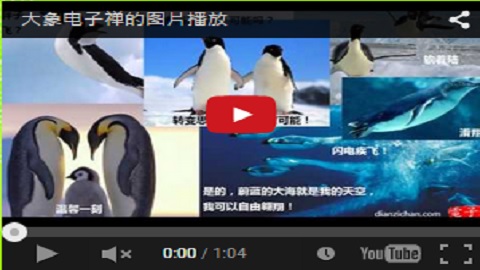 电子禅youtube频道